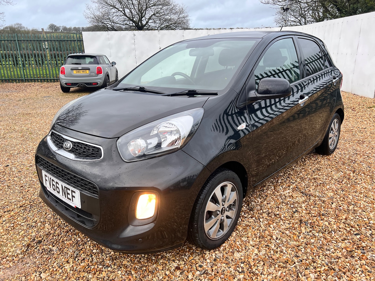 Used Kia Picanto 2016 for sale - 76949841: Photo 4
