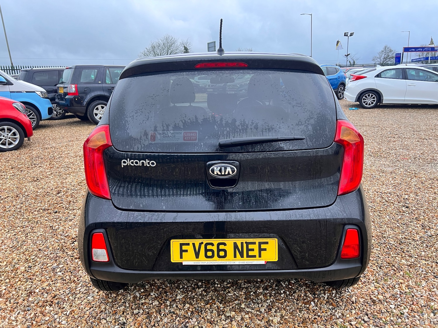 Used Kia Picanto 2016 for sale - 76949841: Photo 7