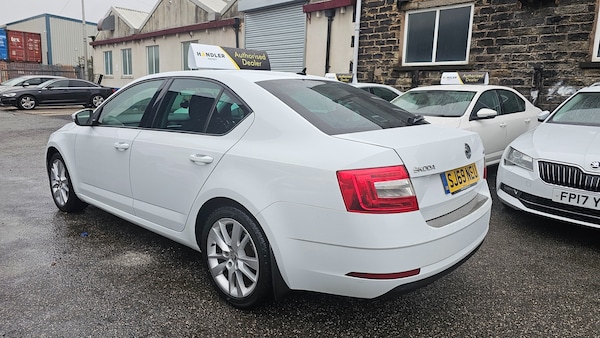 Used Skoda Octavia 2019 for sale - 76317486: Photo 7