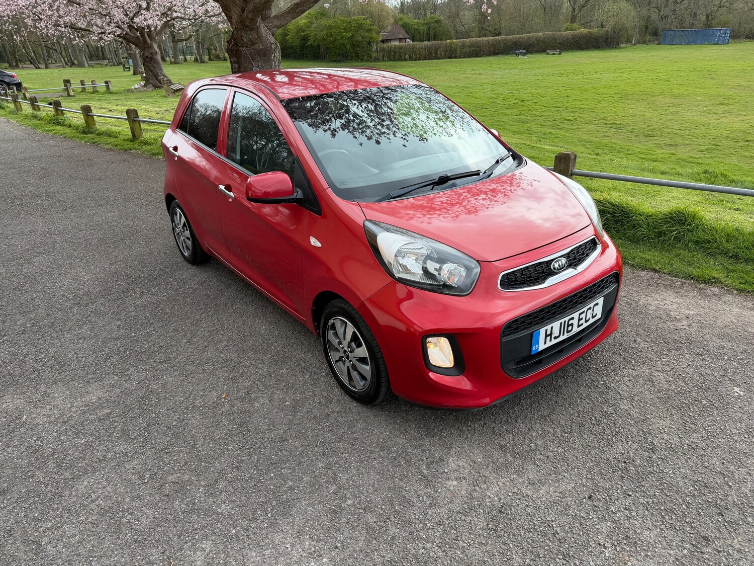 Used Kia Picanto 2016 for sale - 78039460: Photo 1