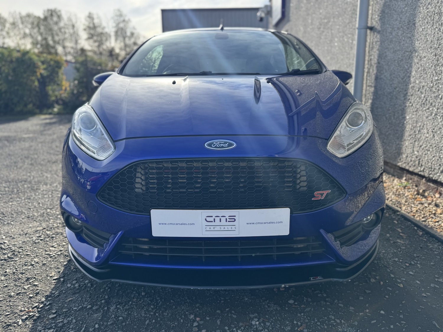 Used Ford Fiesta 2016 for sale - 76358242: Photo 38