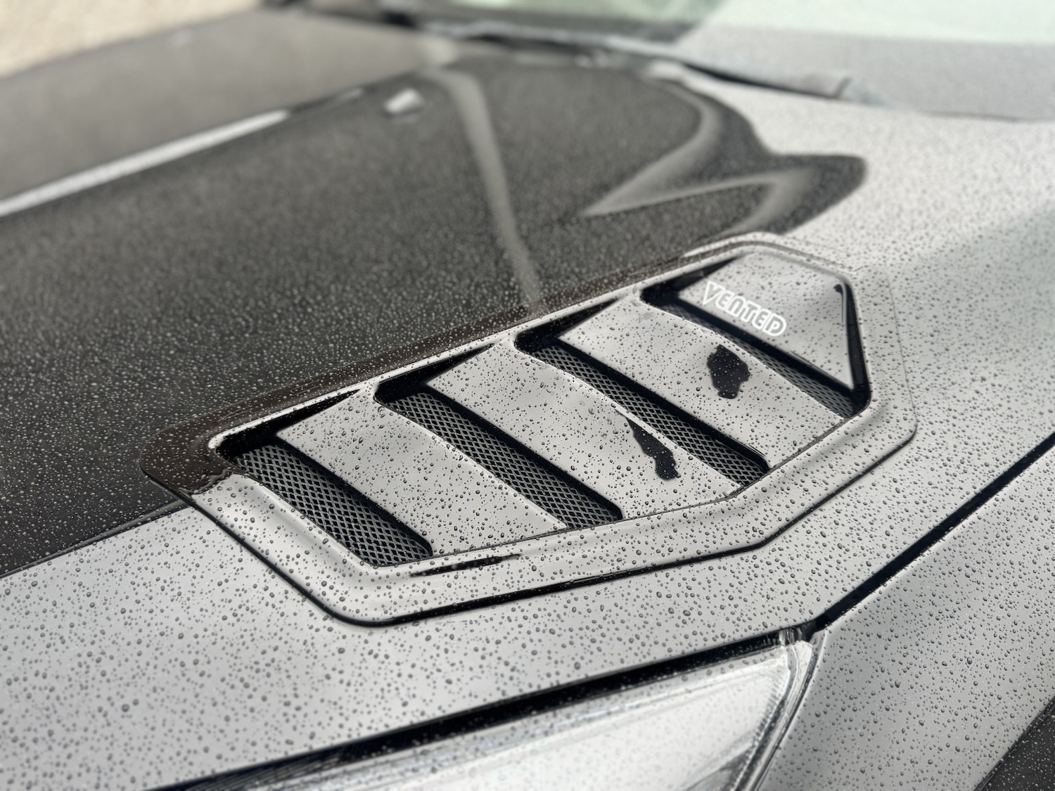 Used Ford Focus 2016 for sale - 77342650: Photo 14