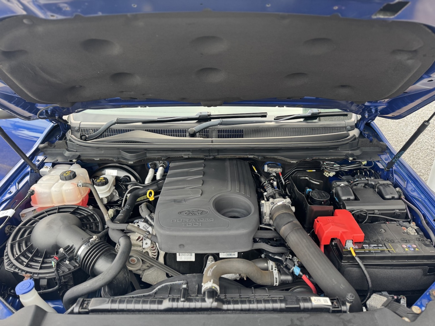 Used Ford Ranger 2018 for sale - 76312402: Photo 77