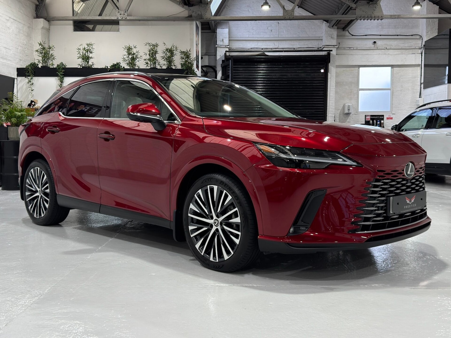 Used Lexus RX 2023 for sale - 77555957: Photo 3