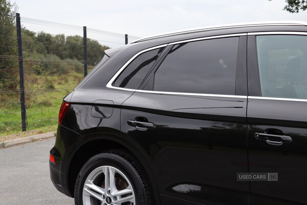 Used Audi Q5 2024 for sale - 76095248: Photo 12