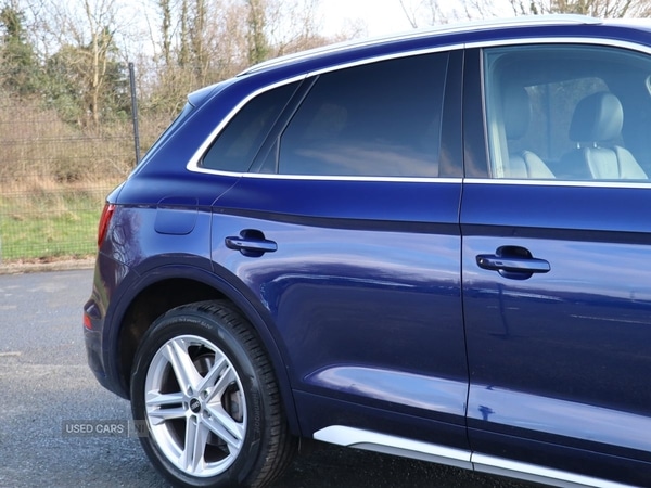 Used Audi Q5 2023 for sale - 77387884: Photo 17
