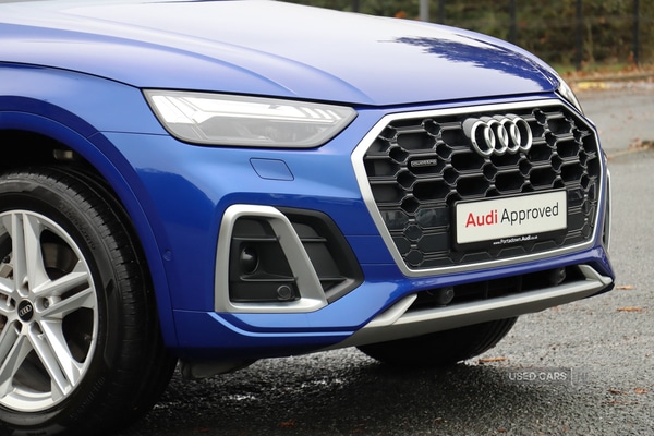 Used Audi Q5 2024 for sale - 76284463: Photo 9