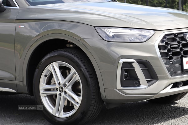 Used Audi Q5 2024 for sale - 75494616: Photo 7
