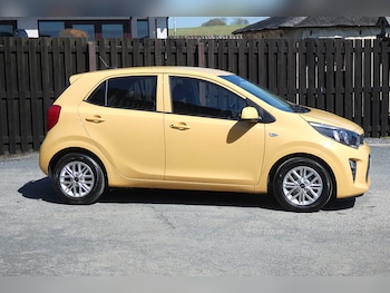 Used Kia Picanto 2023 for sale - 78436815: Photo