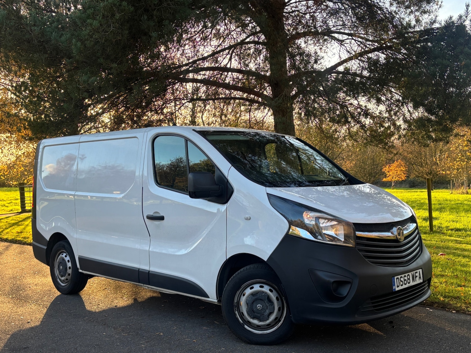 Used Vauxhall Vivaro 2019 for sale - 76446118: Photo 1