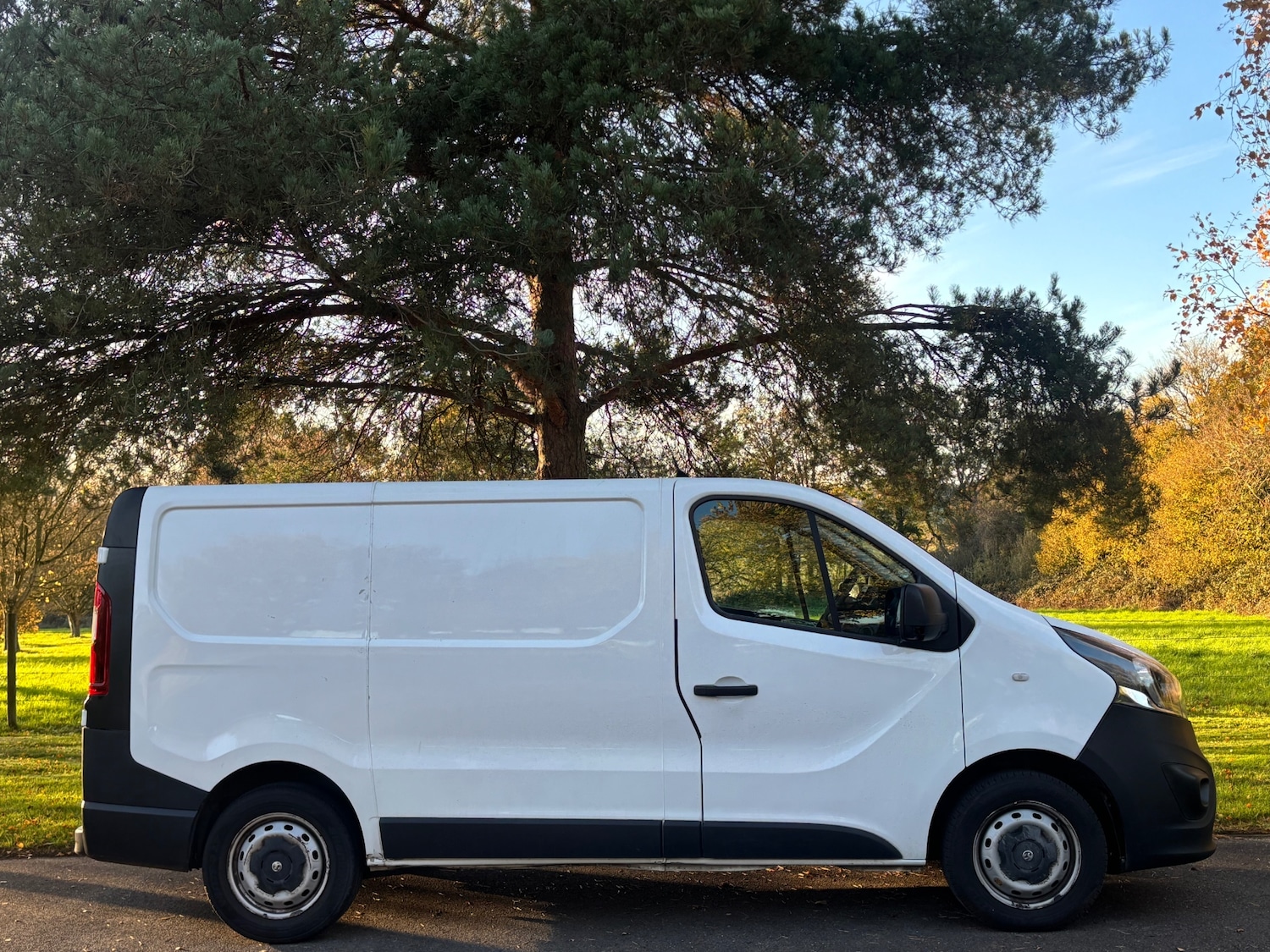 Used Vauxhall Vivaro 2019 for sale - 76446118: Photo 5
