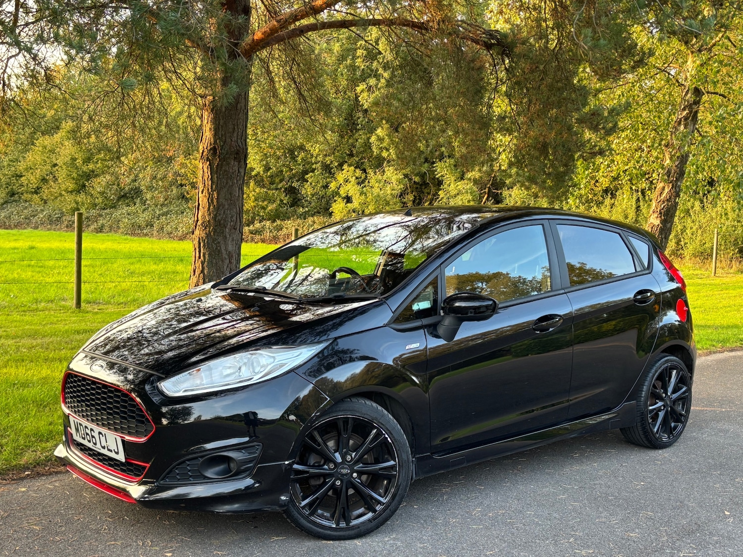 Used Ford Fiesta 2017 for sale - 76306094: Photo 13