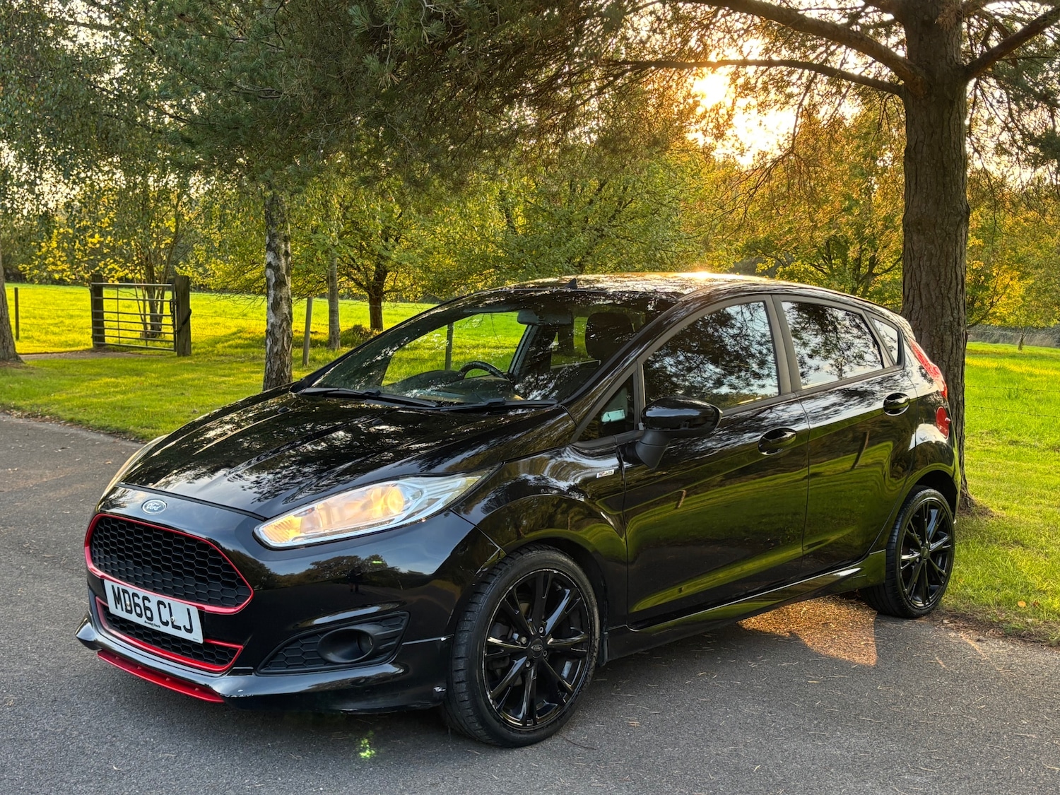 Used Ford Fiesta 2017 for sale - 76306094: Photo 14