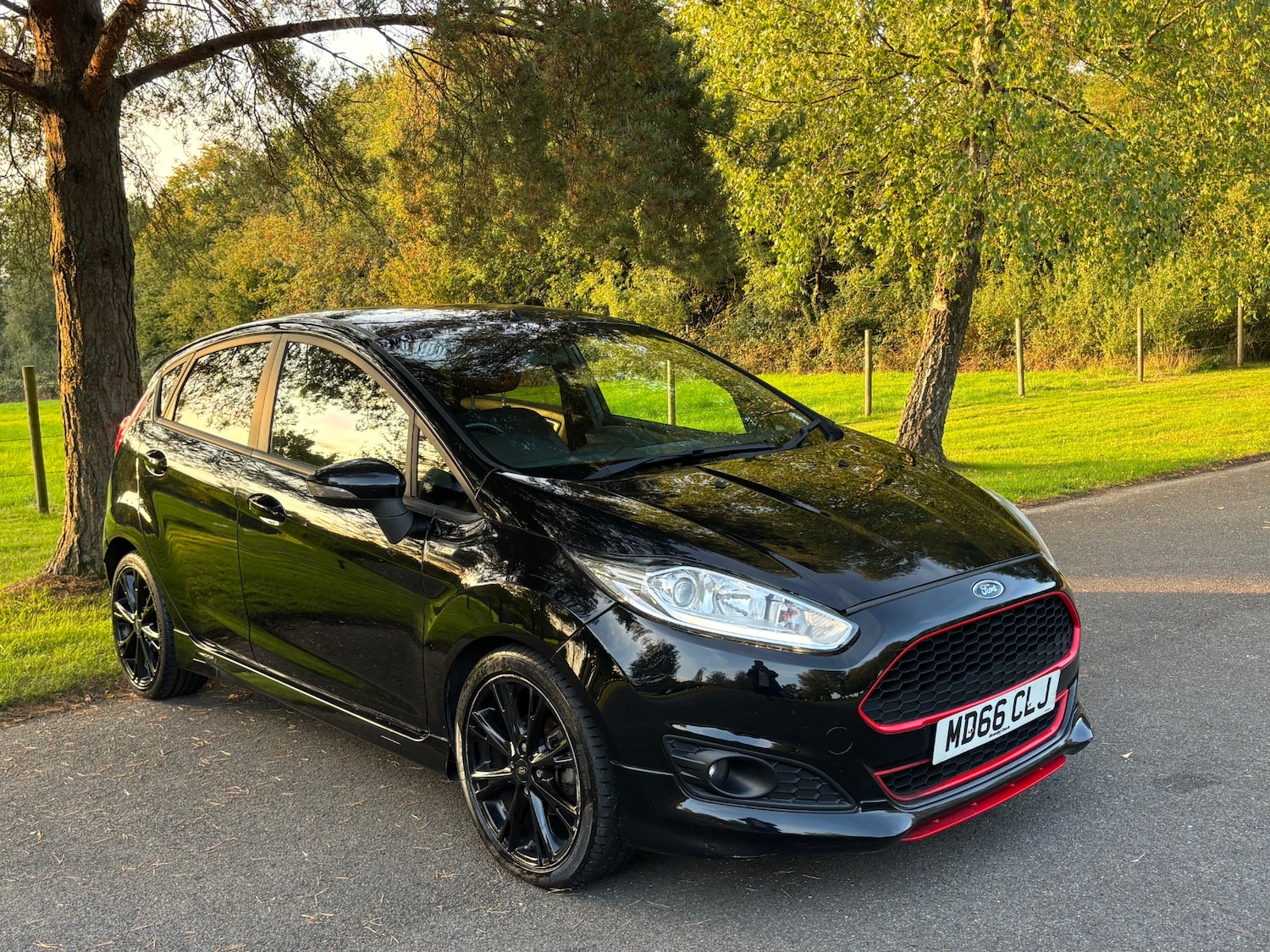 Used Ford Fiesta 2017 for sale - 76306094: Photo 15