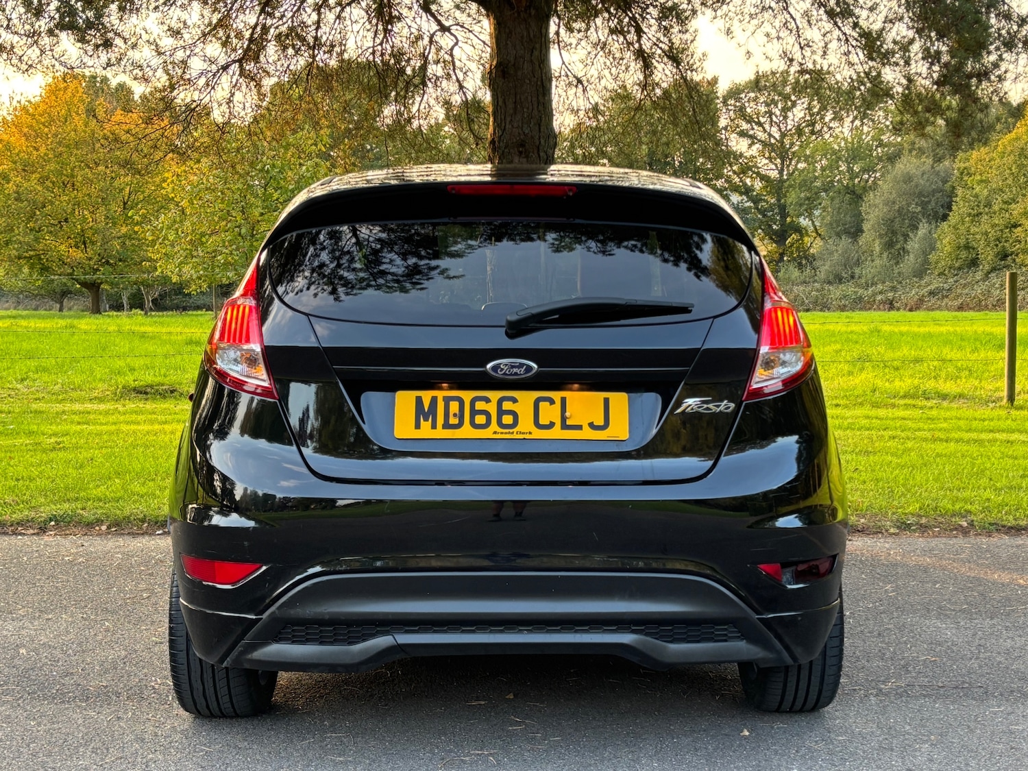 Used Ford Fiesta 2017 for sale - 76306094: Photo 18