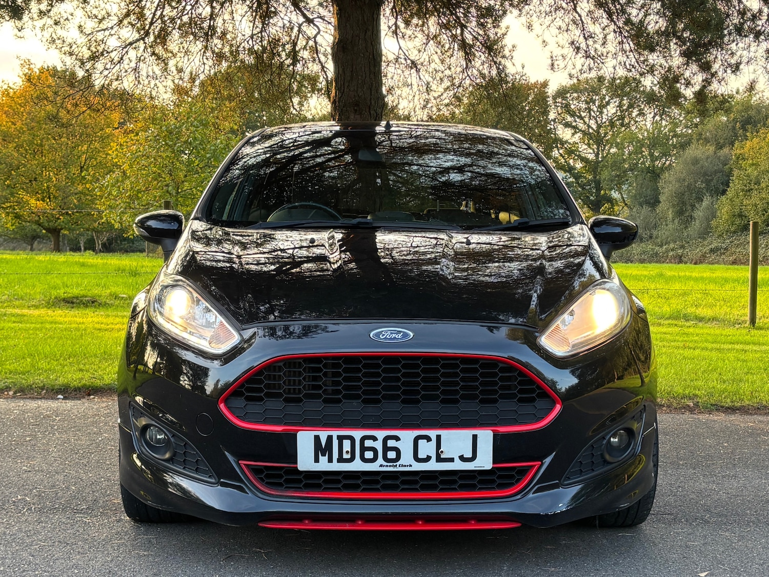 Used Ford Fiesta 2017 for sale - 76306094: Photo 19