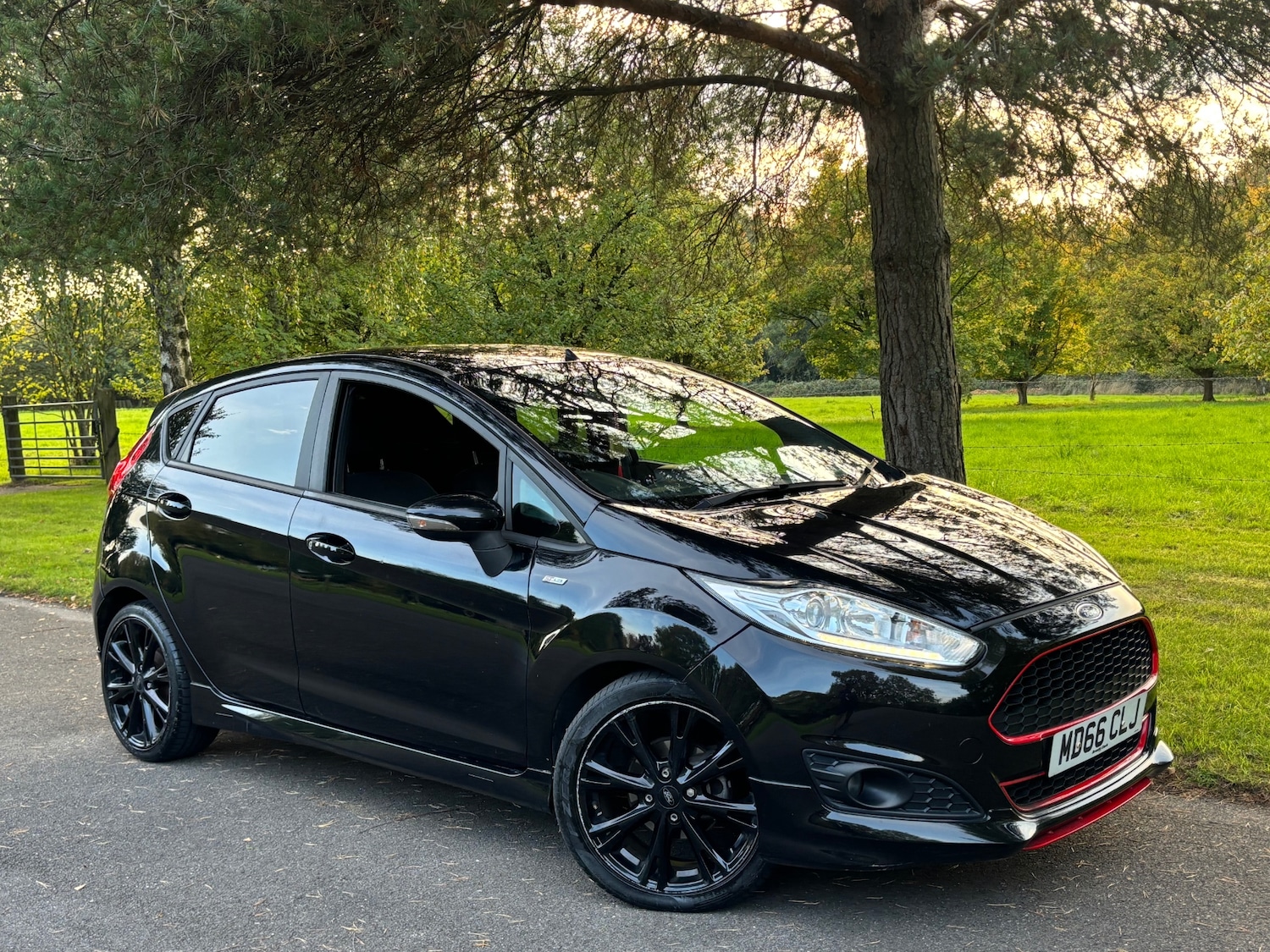 Used Ford Fiesta 2017 for sale - 76306094: Photo 20