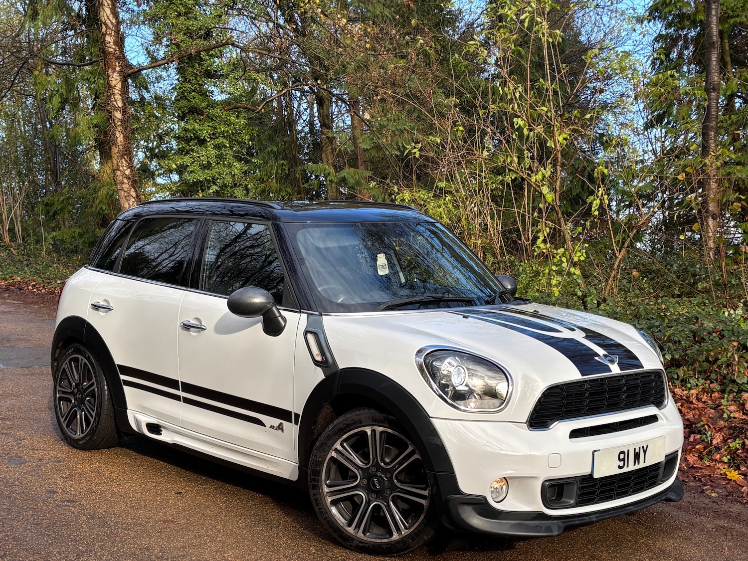Used MINI Countryman 2014 for sale - 76848489: Photo 1