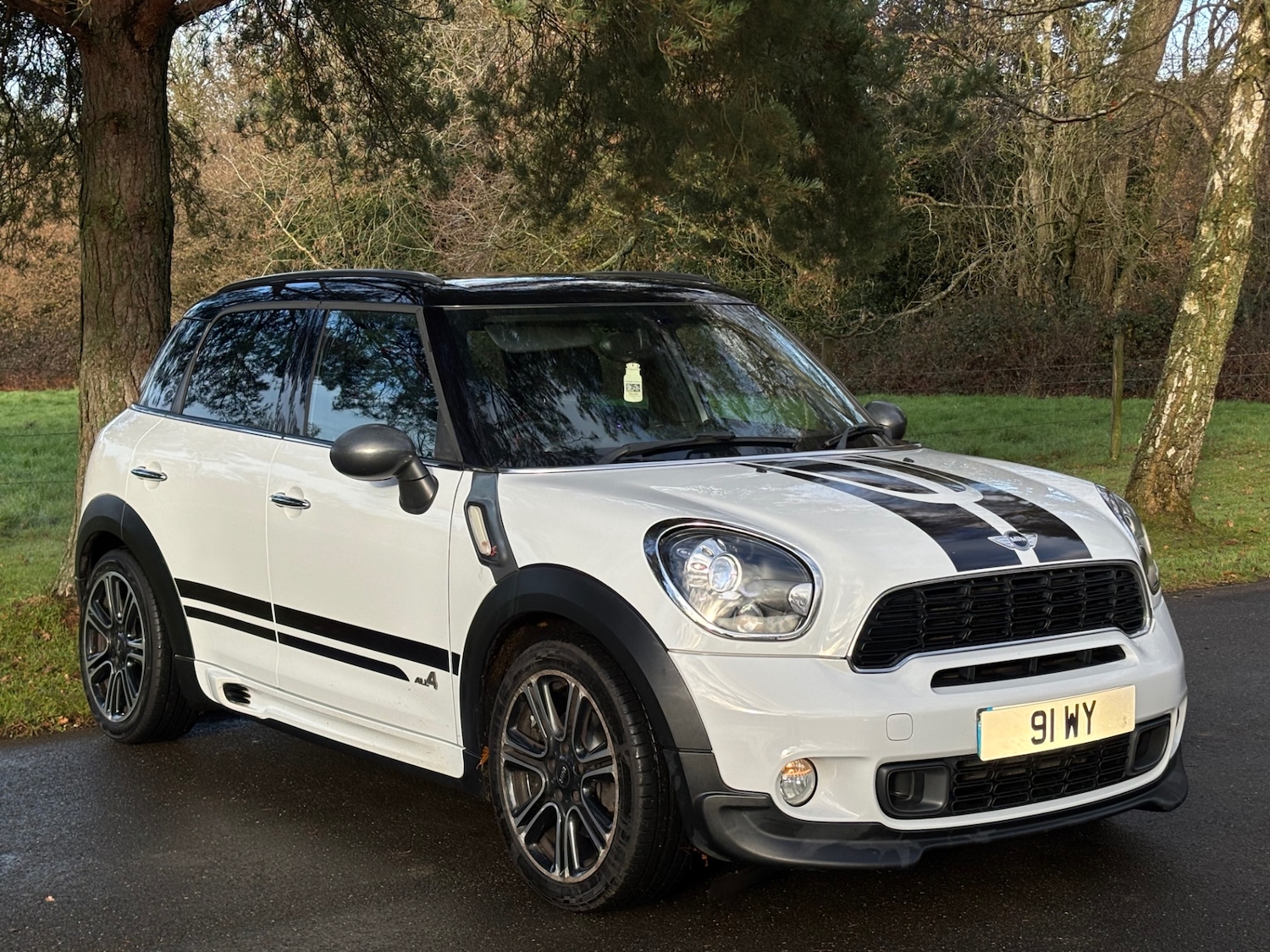 Used MINI Countryman 2014 for sale - 76848489: Photo 14