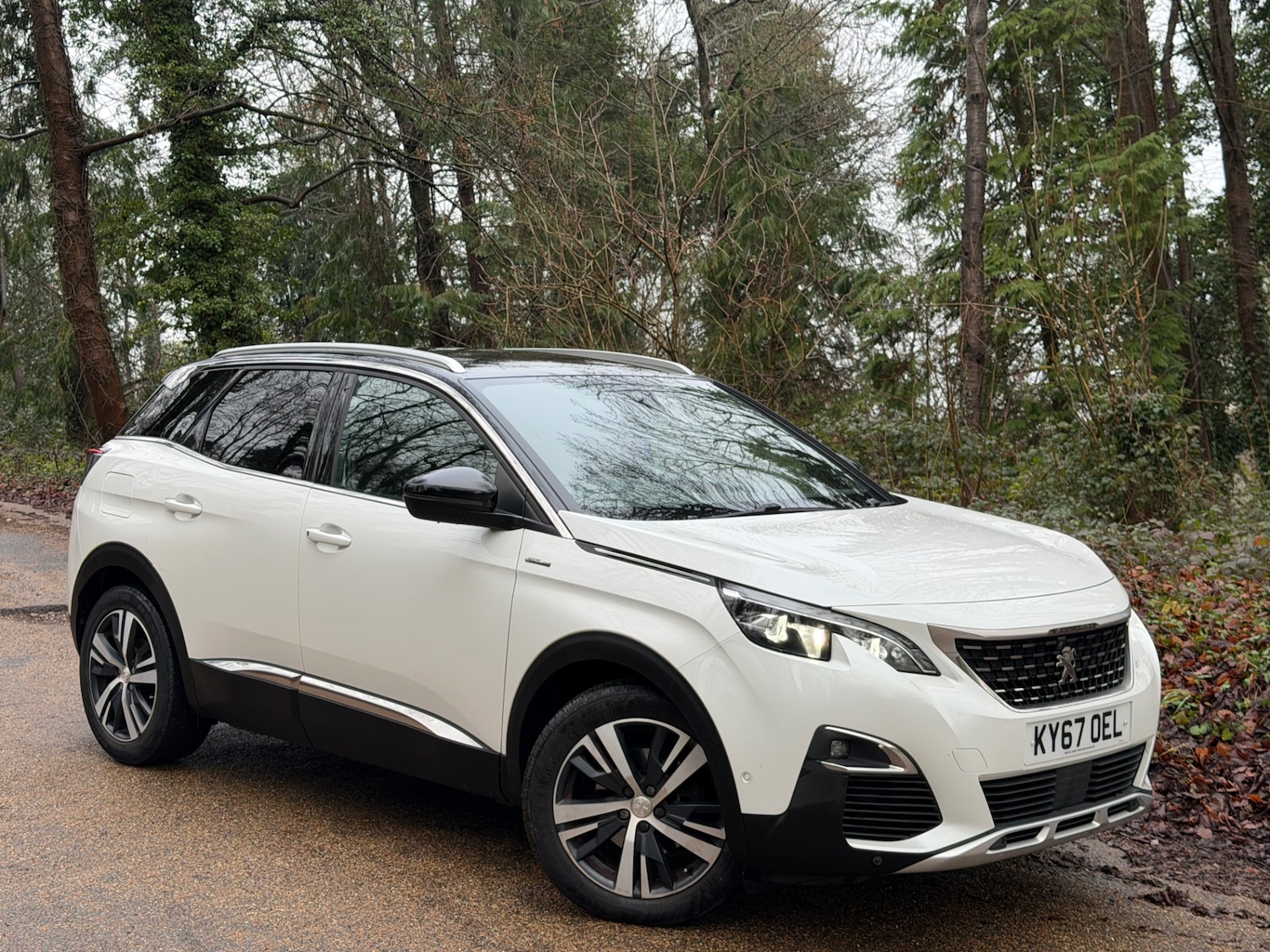 Used Peugeot 3008 2017 for sale - 77982225: Photo 1