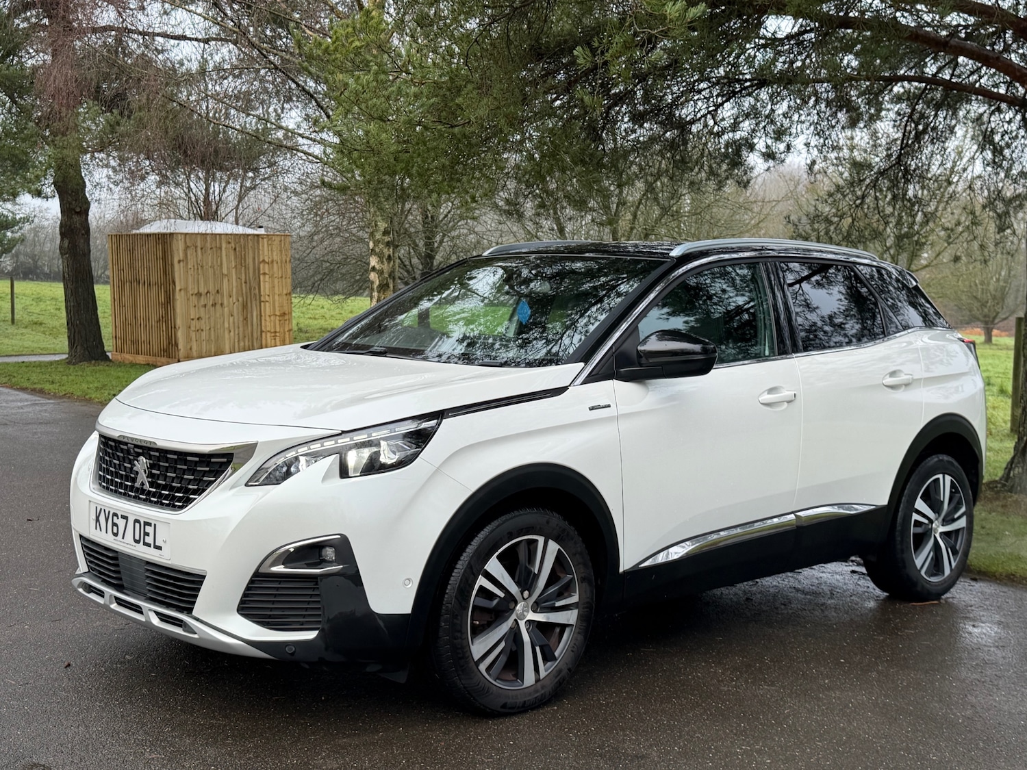 Used Peugeot 3008 2017 for sale - 77982225: Photo 16