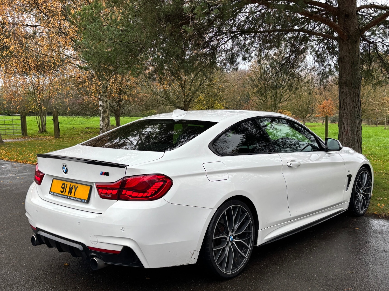 Used BMW 4 Series 2014 for sale - 76493843: Photo 12