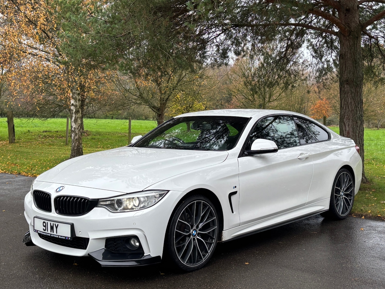 Used BMW 4 Series 2014 for sale - 76493843: Photo 13