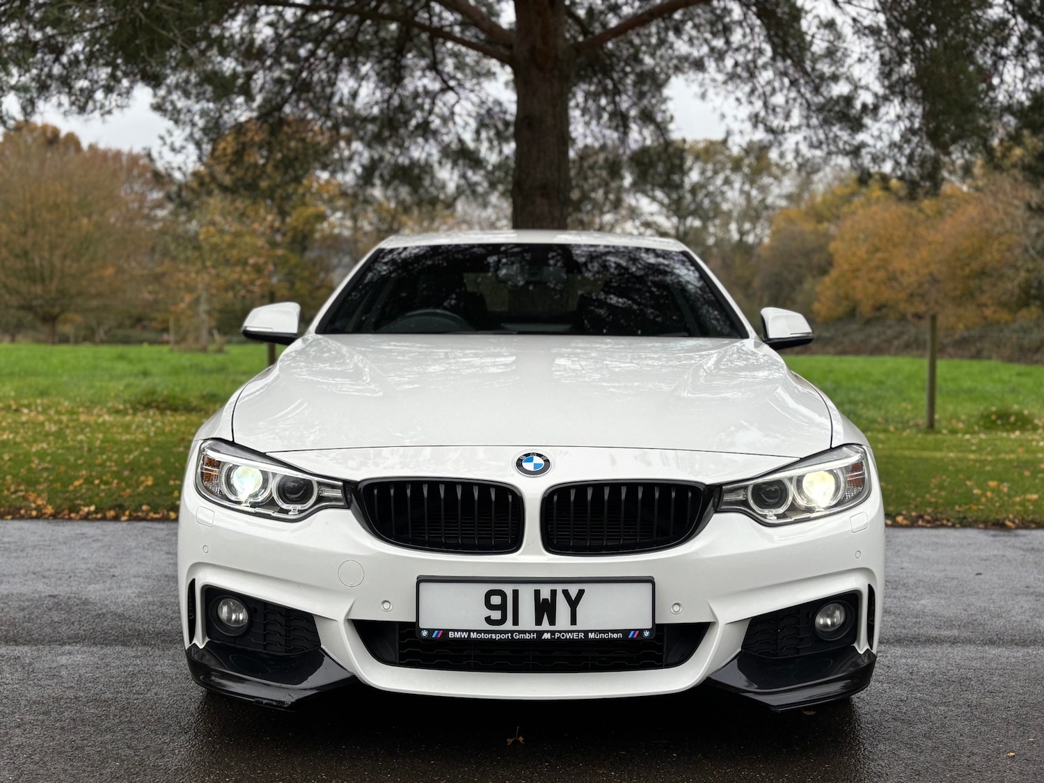 Used BMW 4 Series 2014 for sale - 76493843: Photo 16