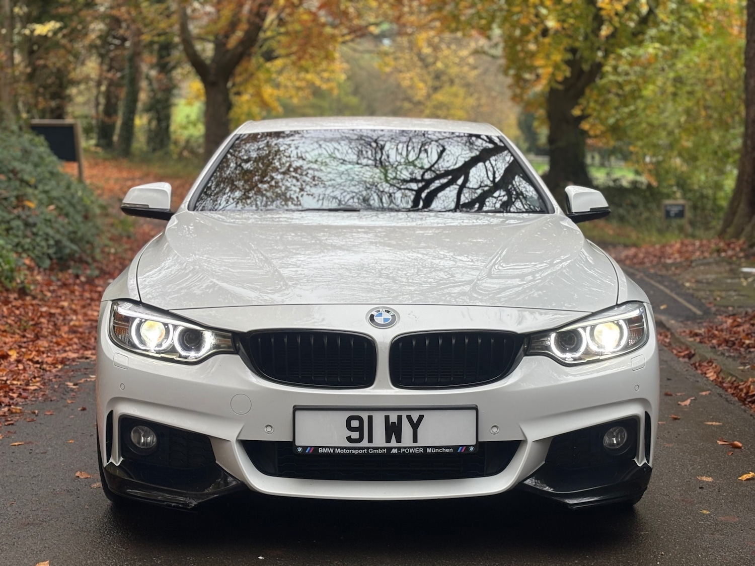 Used BMW 4 Series 2014 for sale - 76493843: Photo 17