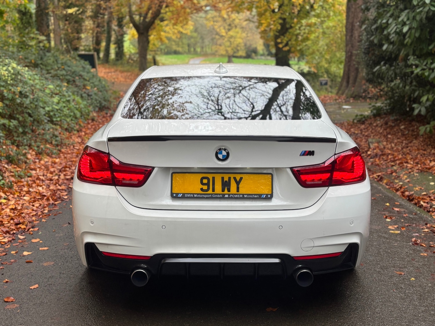 Used BMW 4 Series 2014 for sale - 76493843: Photo 18