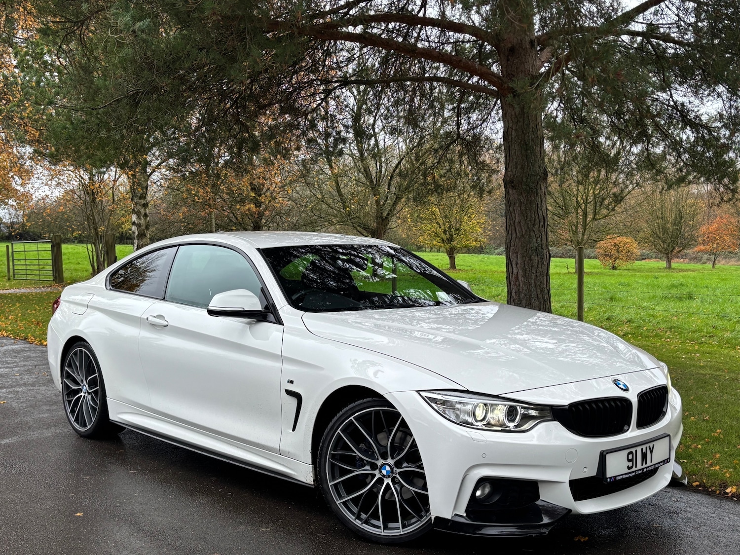 Used BMW 4 Series 2014 for sale - 76493843: Photo 20