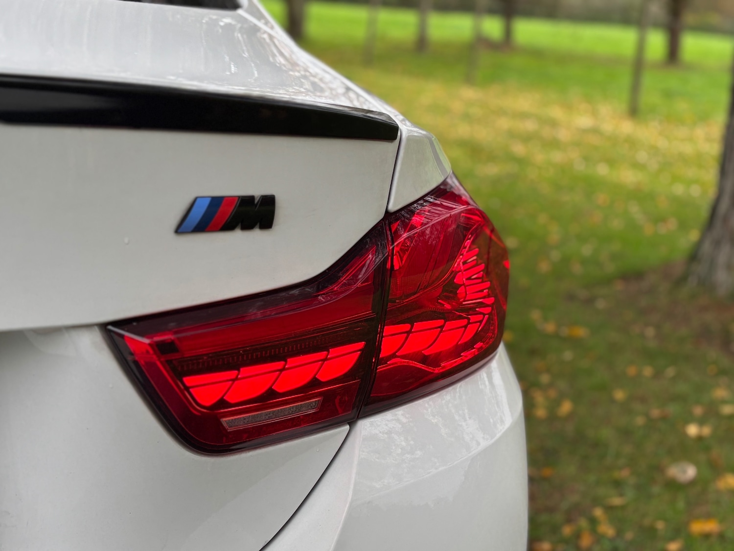 Used BMW 4 Series 2014 for sale - 76493843: Photo 22