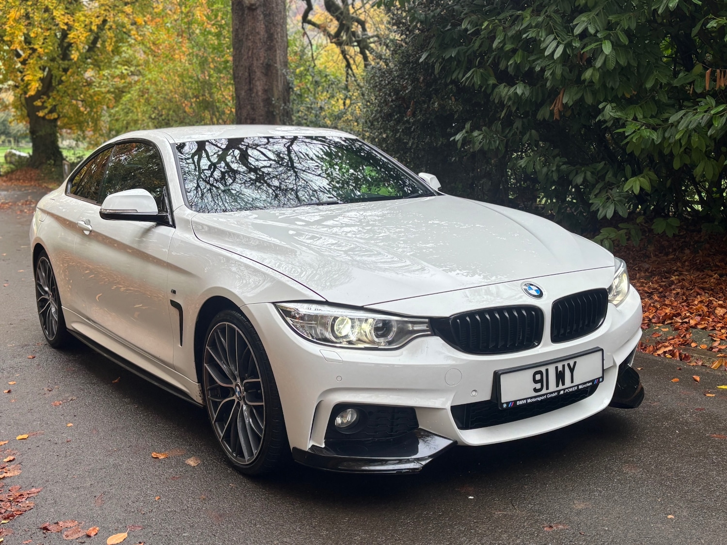 Used BMW 4 Series 2014 for sale - 76493843: Photo 24