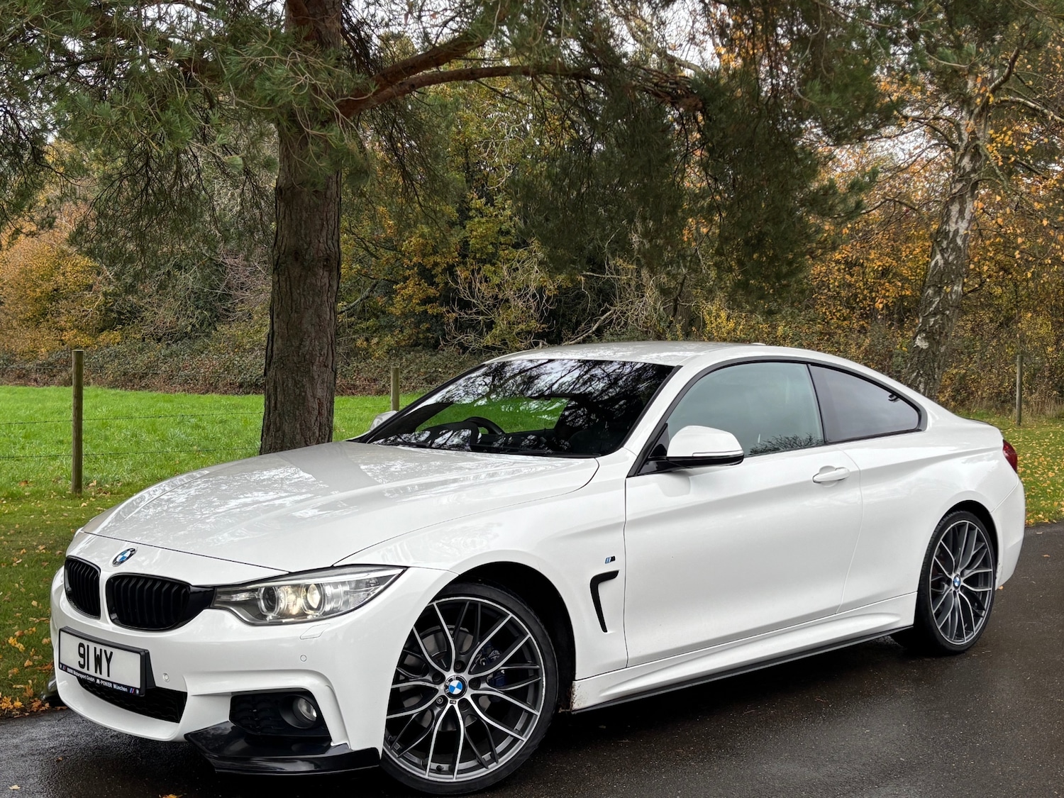 Used BMW 4 Series 2014 for sale - 76493843: Photo 4