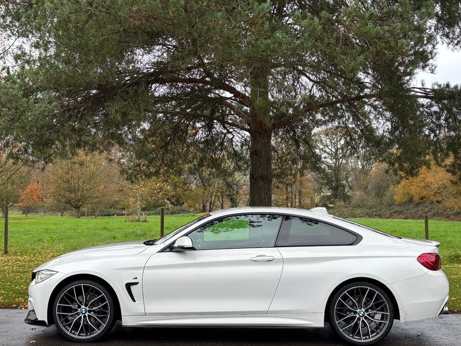 Used BMW 4 Series 2014 for sale - 76493843: Photo 6