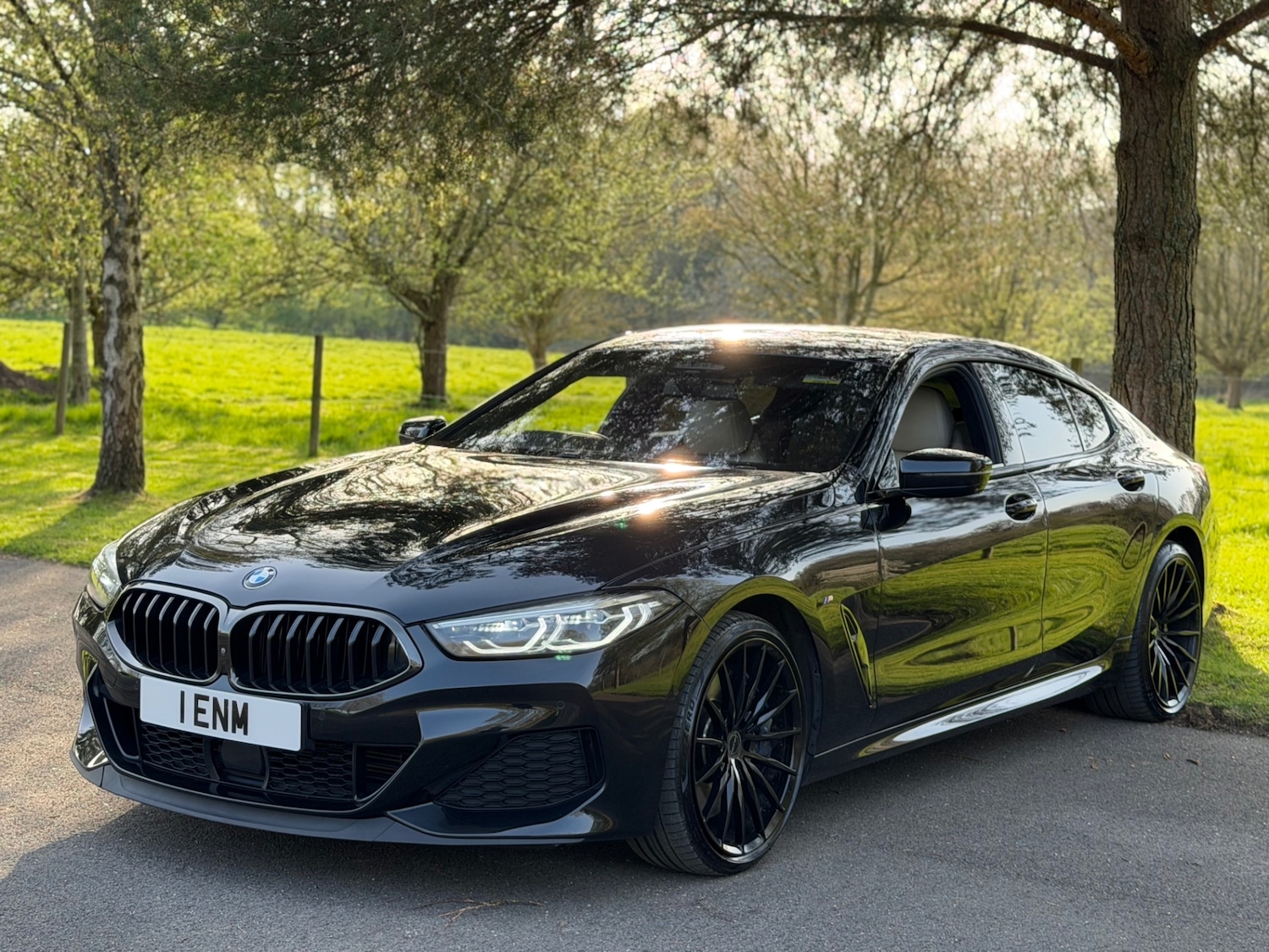 Used BMW 8 Series 2020 for sale - 78184144: Photo 15