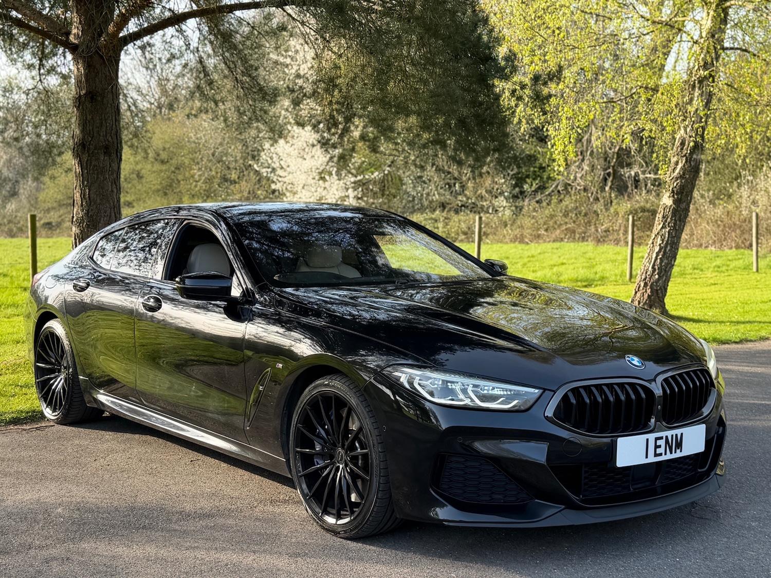 Used BMW 8 Series 2020 for sale - 78184144: Photo 16