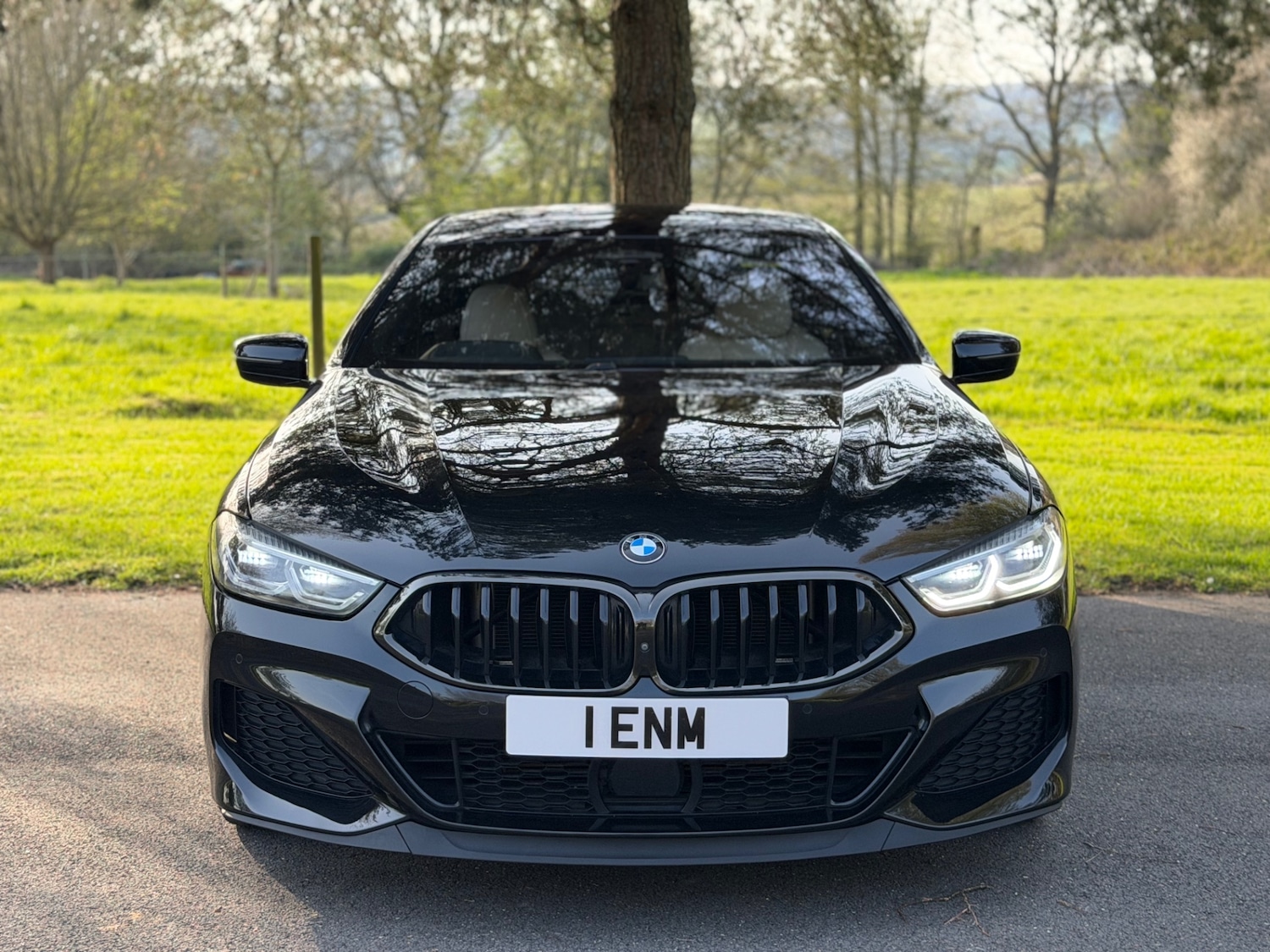 Used BMW 8 Series 2020 for sale - 78184144: Photo 18