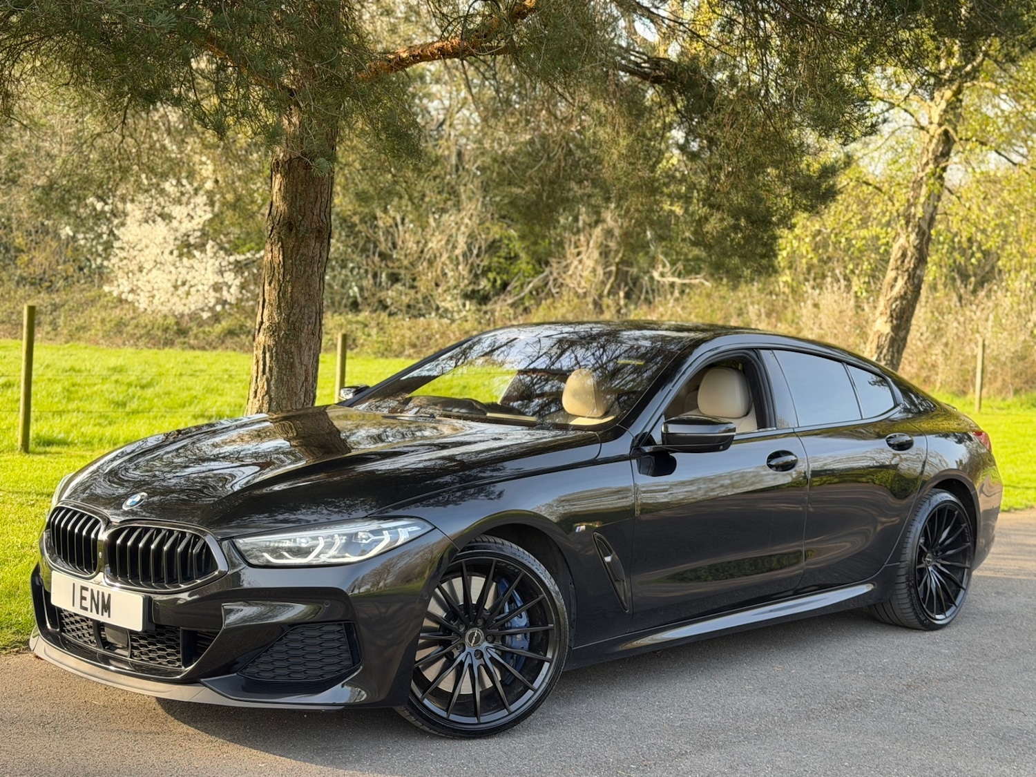 Used BMW 8 Series 2020 for sale - 78184144: Photo 21