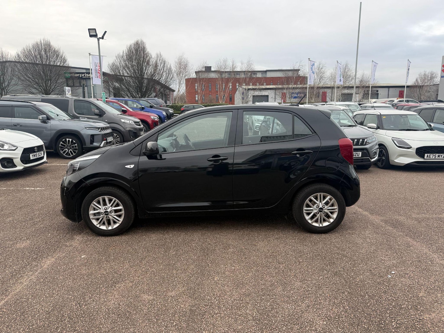 Used Kia Picanto 2024 for sale - 76936156: Photo 8