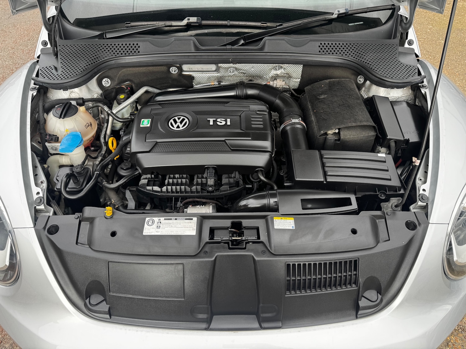 Used Volkswagen Beetle 2014 for sale - 77942199: Photo 15