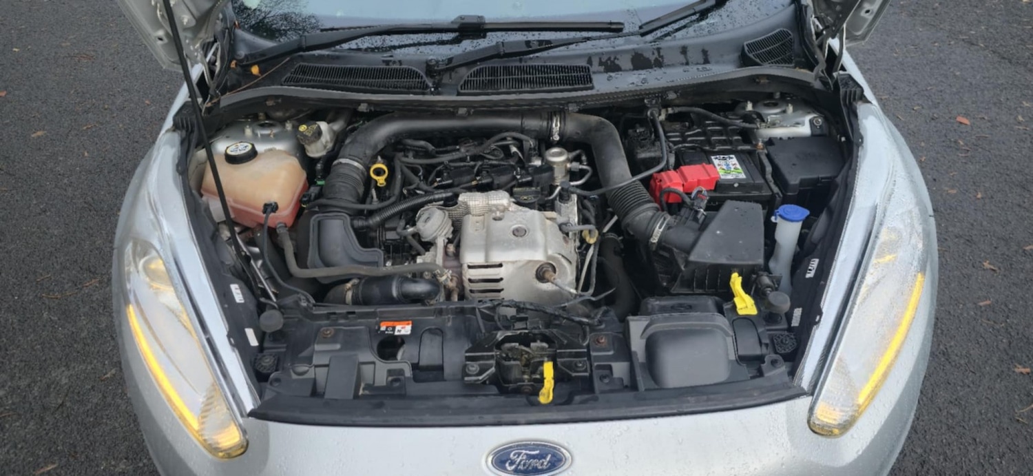 Used Ford Fiesta 2016 for sale - 77166127: Photo 25