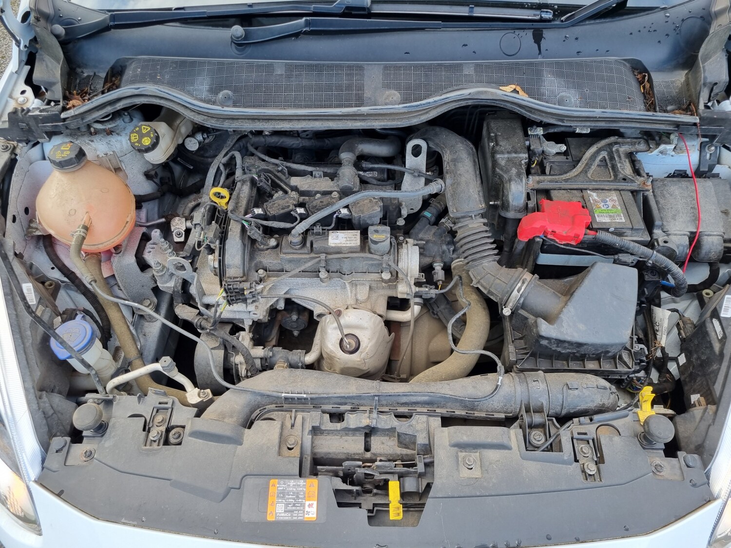 Used Ford Fiesta 2019 for sale - 76892216: Photo 12