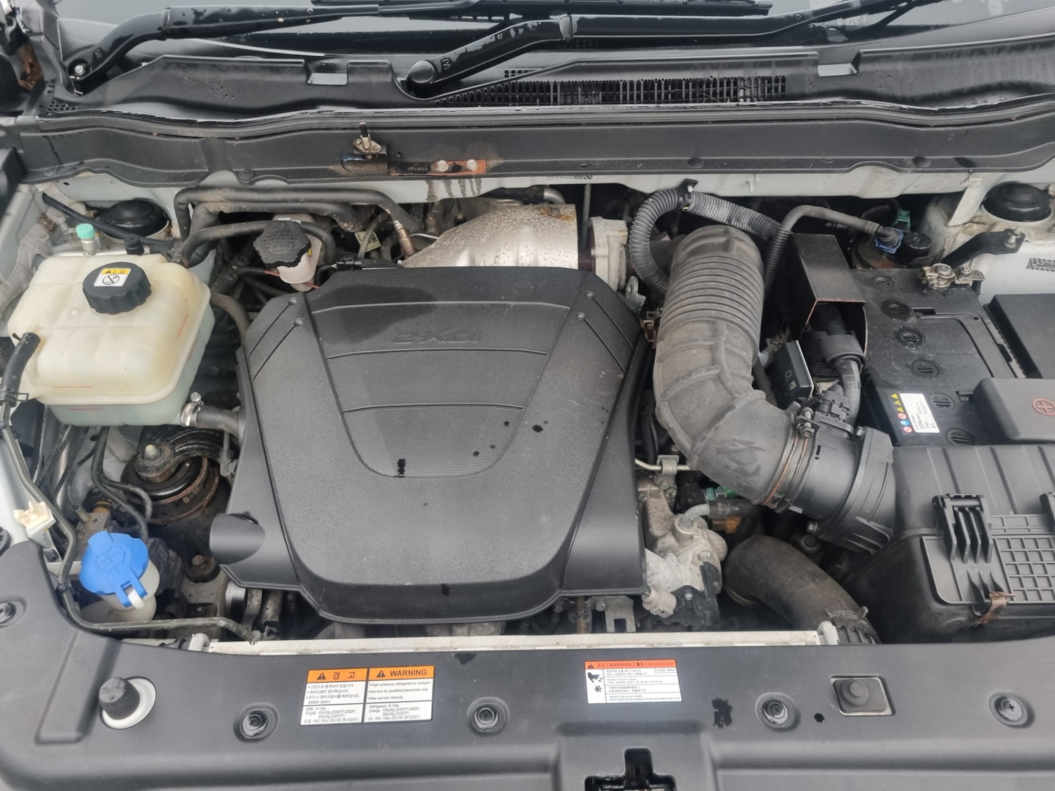 Used Ssangyong Korando 2016 for sale - 76892023: Photo 10