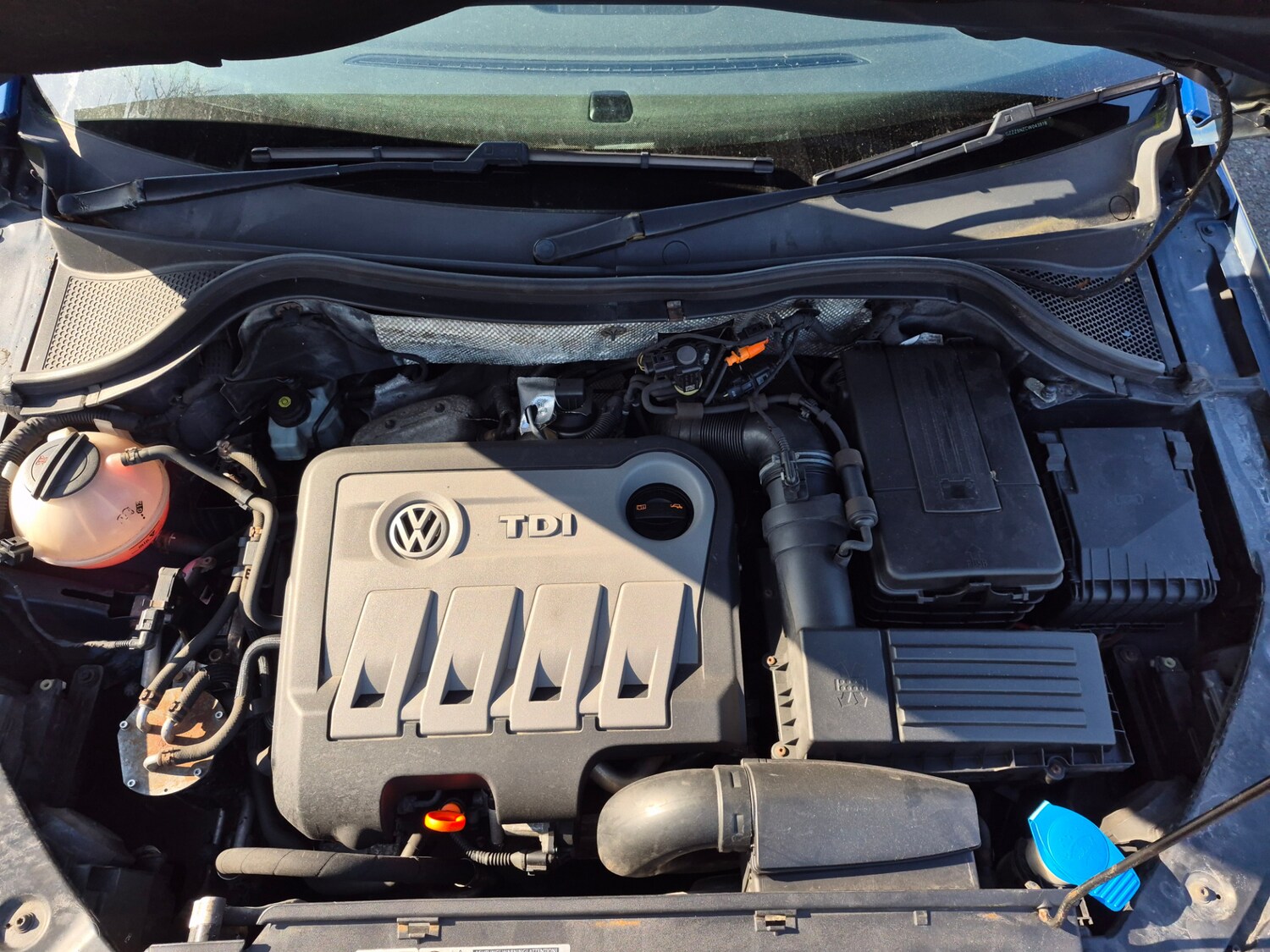 Used Volkswagen Tiguan 2011 for sale - 77742939: Photo 15