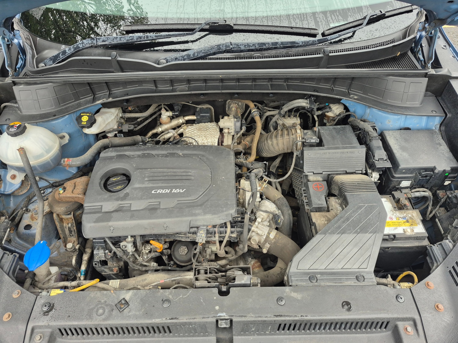 Used Hyundai TUCSON 2016 for sale - 76182532: Photo 13