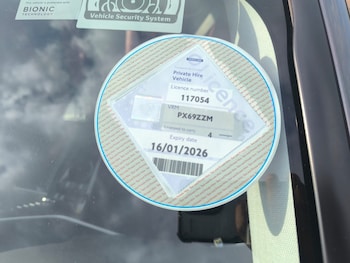 Used Toyota Prius 2019 for sale - 75304585: Photo