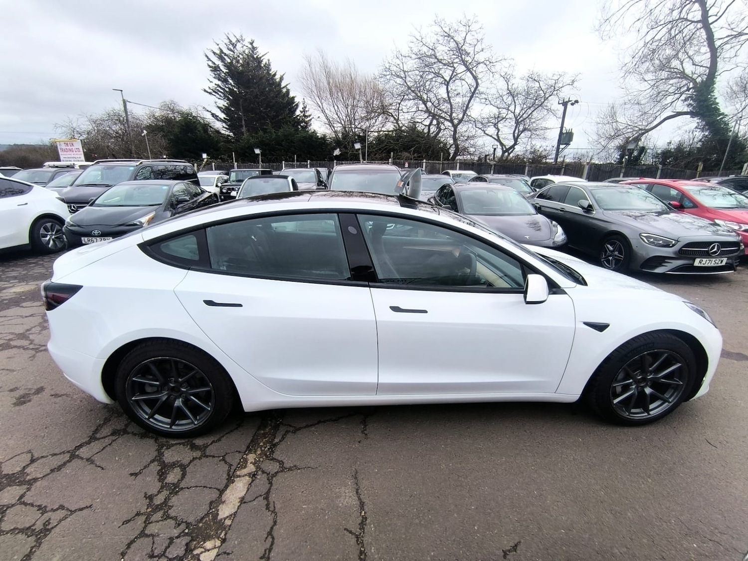 Used Tesla Model 3 2021 for sale - 77715476: Photo 5