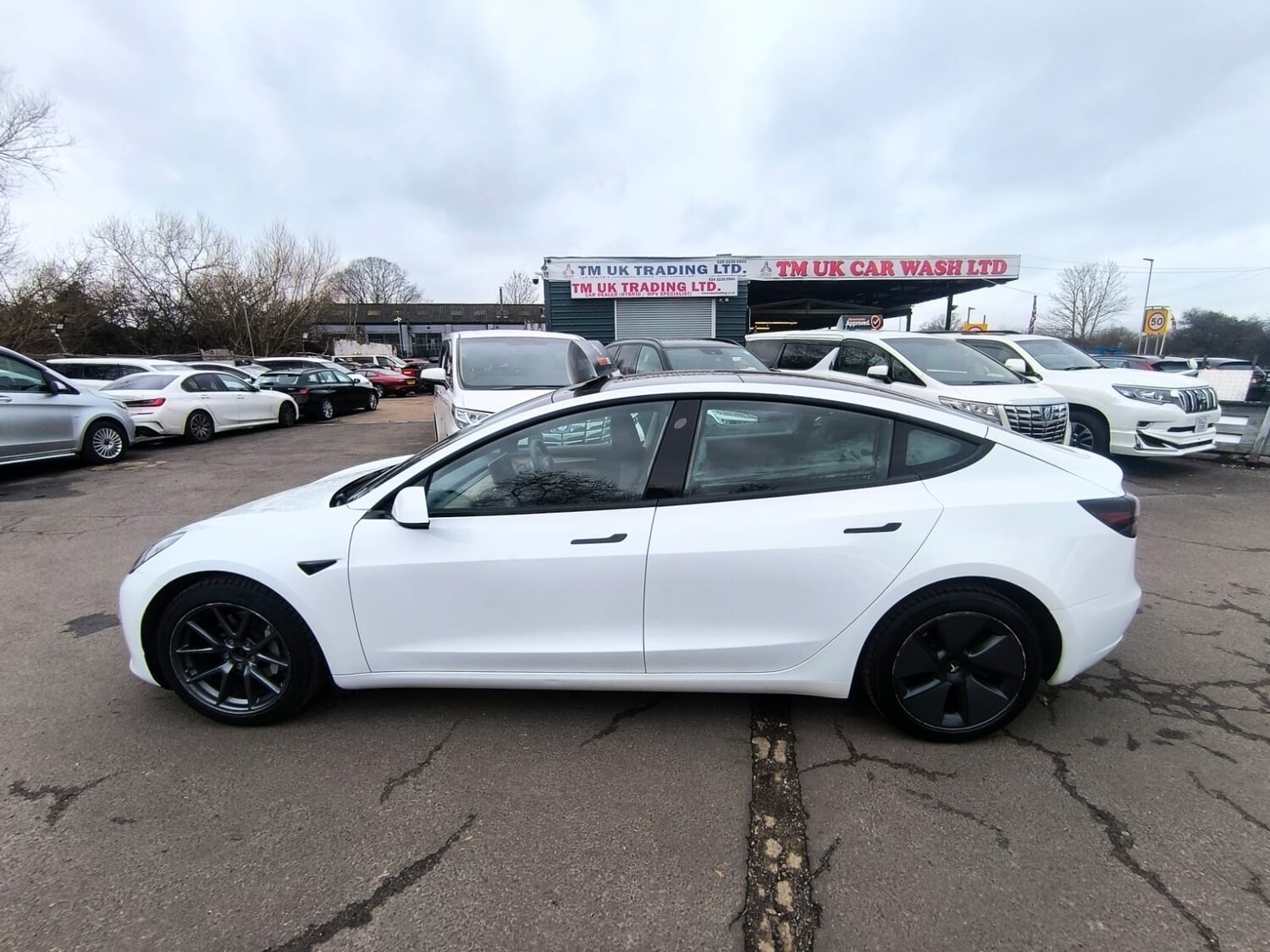 Used Tesla Model 3 2021 for sale - 77715476: Photo 6