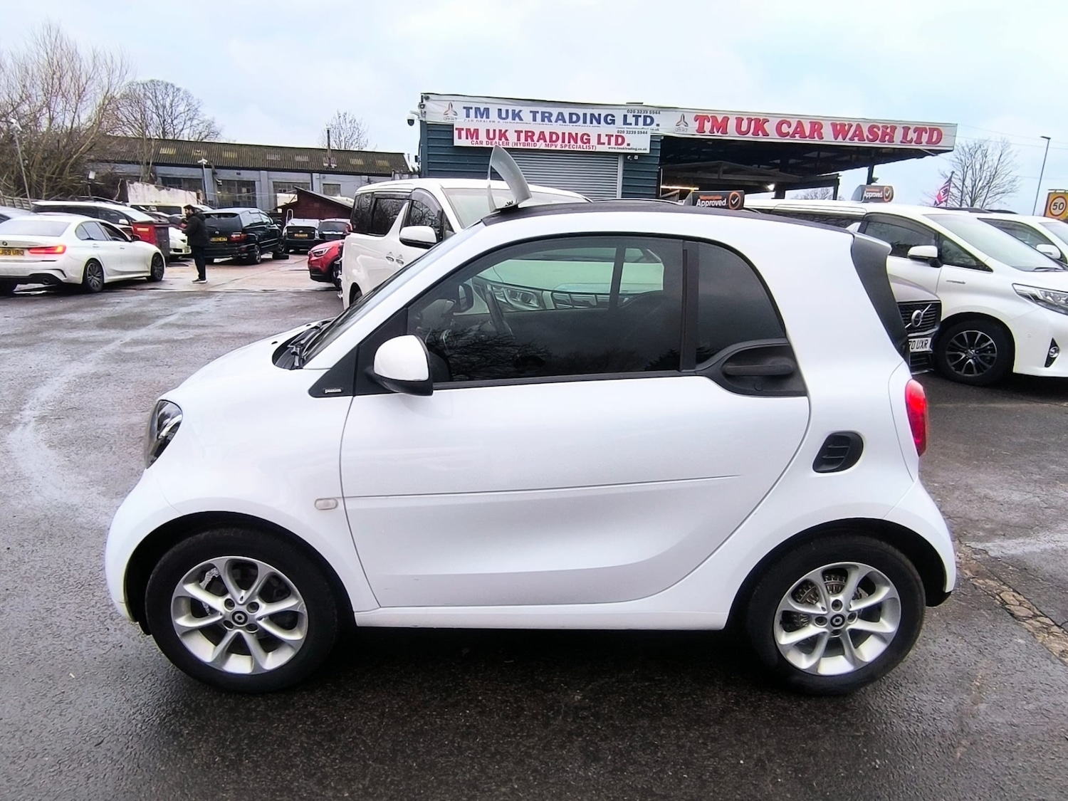 Used smart fortwo 2018 for sale - 77687416: Photo 6